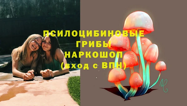 PSILOCYBIN Алексеевка