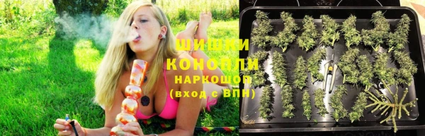 спиды Алексин