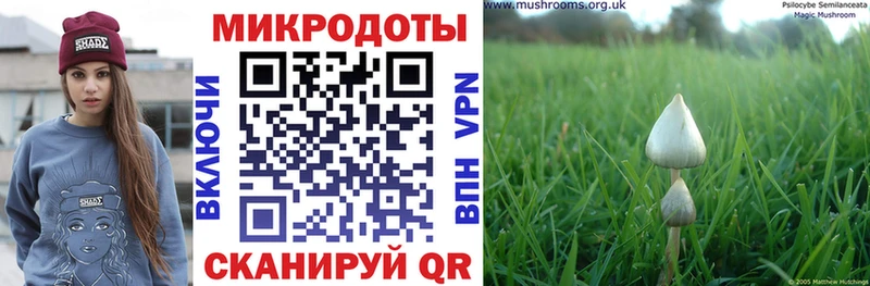 купить наркотики цена  Коряжма  Галлюциногенные грибы Magic Shrooms 